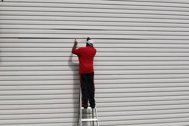 Best Stone Veneer Siding  in Palestine, IL